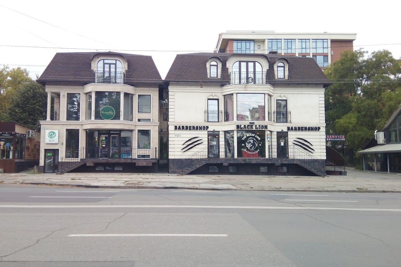 The Black Lion